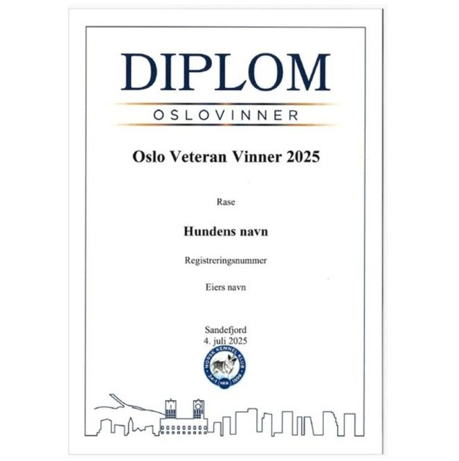 Hovedbilde Diplom Oslo Veteran Vinner 2025 (Sendes i posten)