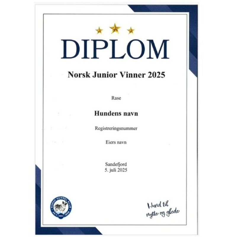 Diplom Norsk Junior Vinner  2025 (Sendes i posten)
