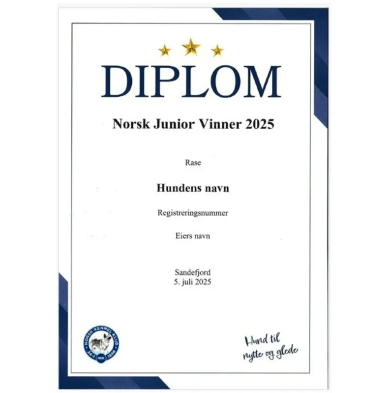 Diplom Norsk Junior Vinner  2026 (Sendes i posten)