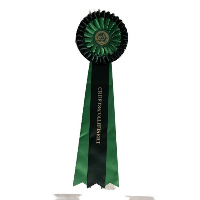 Hovedbilde Crufts-kvalifisert rosett