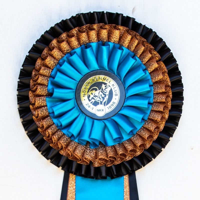 Oslo Vinner rosette