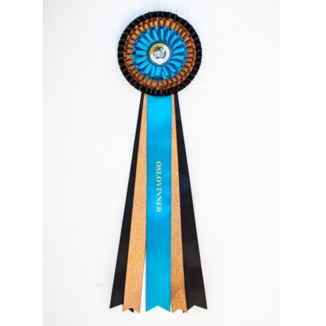 Hovedbilde Oslo Vinner rosette